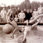 My beautiful picture